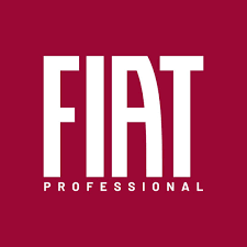 Fiat Ticari Grubu 2013 üstü Hız sabitleyici Montajı